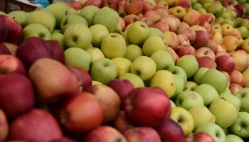 Новогодние ярмарки в Краснодаре: где купить свежие продукты