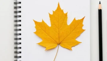 Новые правила учебного процесса в школах России