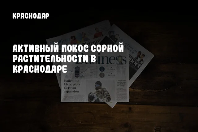 Активный покос сорной растительности в Краснодаре