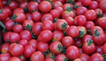 Ярмарки выходного дня возвращаются в Краснодар 4 апреля