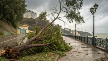 Непогода в Краснодарском крае: дожди, ветер и предупреждения для туристов