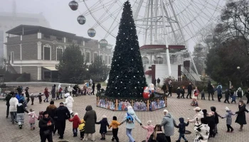 Новогодние ёлки зажглись в парках Краснодара