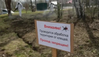 В Краснодаре усилили борьбу с насекомыми-переносчиками инфекций В Краснодаре усилили борьбу с насекомыми-переносчиками инфекций