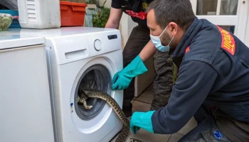 Насыщенный день спасателей в Новороссийске: помощь животным и устранение последствий непогоды