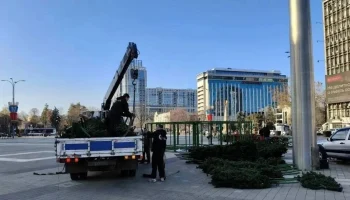 В Краснодаре установили главную новогоднюю ёлку