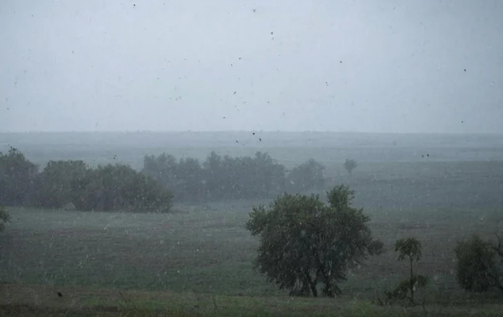 Дождь, туман и ветер до 14 м/с ожидаются 5 апреля на Кубани Дождь, туман и ветер до 14 м/с ожидаются 5 апреля на Кубани