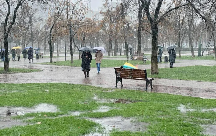 В Краснодарском крае в январе прогнозируют аномальное потепление до +12 градусов В Краснодарском крае в январе прогнозируют аномальное потепление до +12 градусов