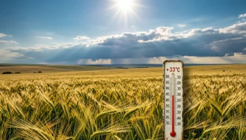9 июля на Кубани ожидаются жара до +33°C и кратковременные ночные дожди