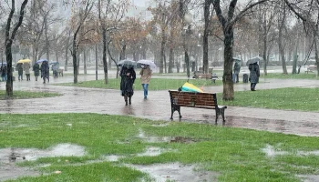 В Краснодарском крае в январе прогнозируют аномальное потепление до +12 градусов