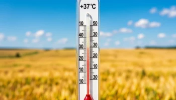 Антициклон принесёт на Кубань 3 августа жару до +37&deg;C, на 4&deg;C выше нормы