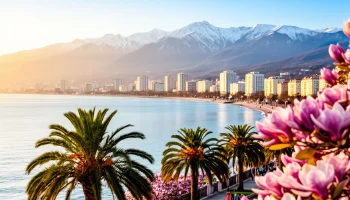 Турпоток в Сочи с начала 2026 года достиг миллиона гостей