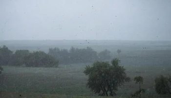 Дождь, туман и ветер до 14 м/с ожидаются 5 апреля на Кубани Дождь, туман и ветер до 14 м/с ожидаются 5 апреля на Кубани