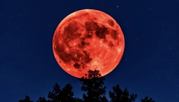 Жители Кубани смогут увидеть красное «клубничное» полнолуние 11 июня 2025 года