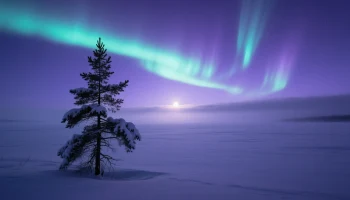 Солнце шепчет, а Земля слушает: что ждёт нас в геомагнитном плане 21 декабря?