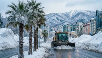 Битва со снегом в Сочи: как город-курорт встретил новогодние праздники 2026 года