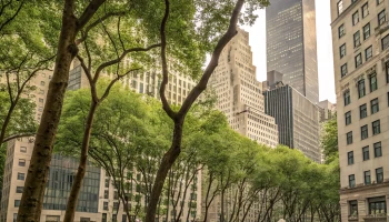 В Краснодаре приступили к озеленению Шаляпинского бульвара