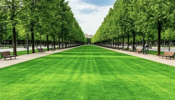 Парк мечты: как работают все зоны знаменитого парка Галицкого