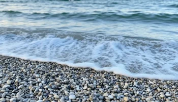 Цены на отдых в сочинских санаториях в бархатный сезон 2025: что ожидать