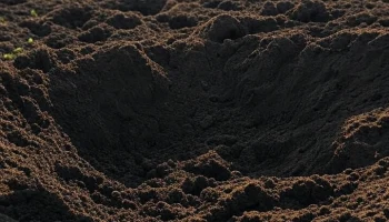 Многодетным семьям Успенского района выделят новые земли