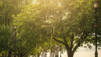 До +21 градуса прогреется воздух в Краснодарском крае, но ударят дожди