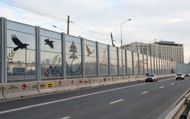 Силуэты хищных птиц спасают их от столкновений на трассе в Сочи