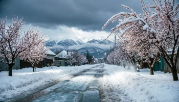 Мартовские морозы на Кубани: похолодание усилится, дожди перейдут в снег