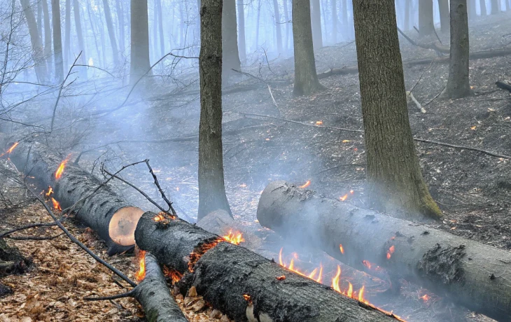 В Краснодарском крае ликвидировали лесной пожар в Смоленской