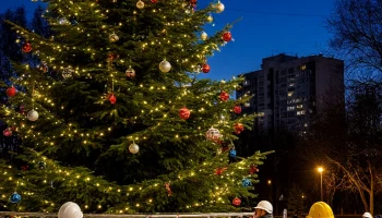 Установка первой новогодней елки в Краснодаре