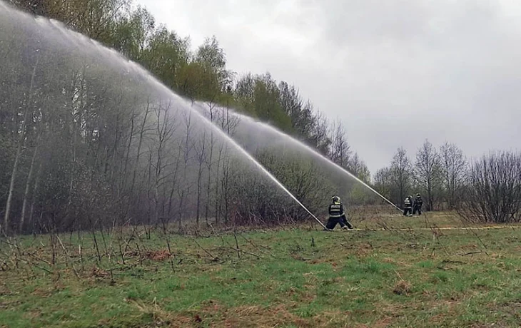 Лесные пожары в Абинском и Северском районах Краснодарского края полностью ликвидированы