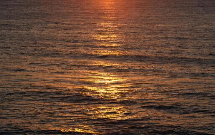 Паром Сочи — Трабзон возобновят рейсы с 8 декабря 2025