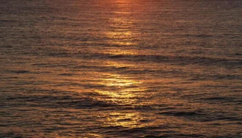 Паром Сочи — Трабзон возобновят рейсы с 8 декабря 2025