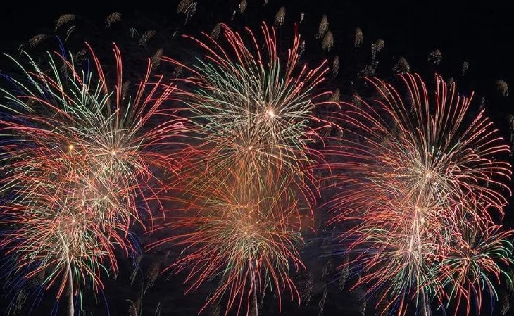 В Новороссийске вновь запретили фейерверки на Новый год