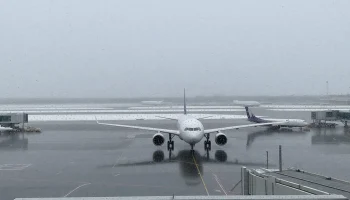 Из-за непогоды в Сочи и Краснодаре задержаны десятки рейсов