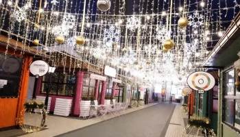 Захватывающие новогодние каникулы в Краснодаре: гид по самым ярким событиям для всей семьи