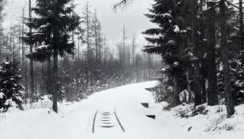 Мощный снегопад на Кубани временно парализовал пригородное сообщение: отменены десятки электричек