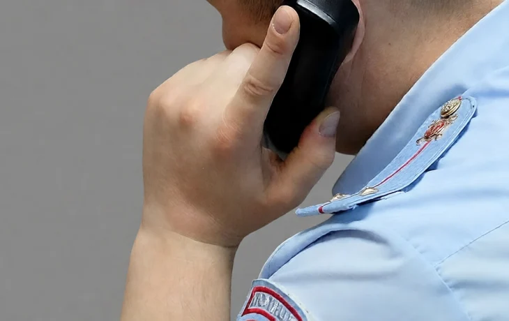 Внимание, новый виртуальный развод! МВД предупреждает о мошеннических схемах в формате совместных закупок продуктов