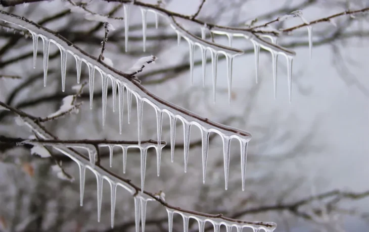 Стихия против Кубани: как Краснодарский край встретил Новый год под мощнейшими снегопадами Стихия против Кубани: как Краснодарский край встретил Новый год под мощнейшими снегопадами