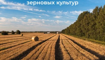 В Брюховецком районе завершили уборку зерновых культур