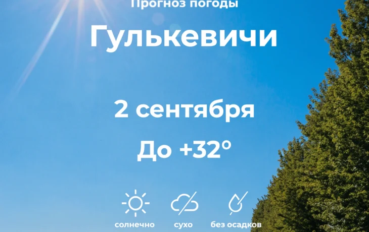 Погода в Гулькевичи 2 сентября: солнечно, сухо и до +32&deg;