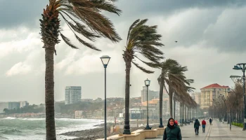 В Анапе 14 февраля ожидается до +12 градусов и порывистый ветер В Анапе 14 февраля ожидается до +12 градусов и порывистый ветер