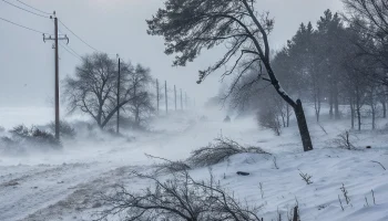 Штормовое предупреждение объявлено в Новопокровском районе и на Кубани