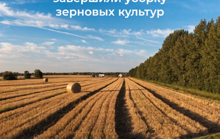 В Брюховецком районе завершили уборку зерновых культур В Брюховецком районе завершили уборку зерновых культур