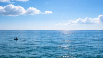 ПВО за день уничтожила десятки дронов над регионами России