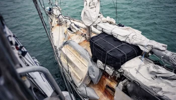 Американца приговорили к 5 годам за оружие на яхте в Сочи