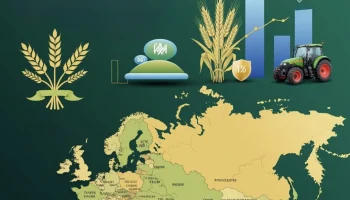 Кубань вошла в тройку лидеров по страхованию посевов в 2025 году