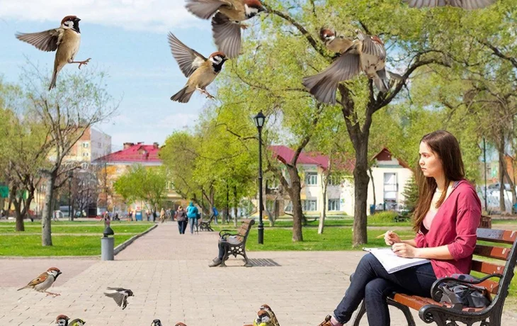 Перепись воробьёв в Краснодарском крае