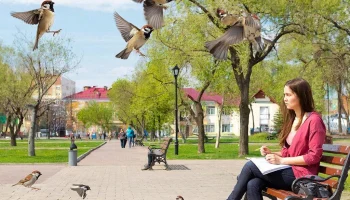 Перепись воробьёв в Краснодарском крае