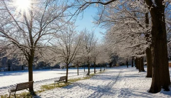Весеннее равноденствие: когда день станет длиннее ночи