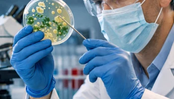 В России раскрыли тайный механизм защиты бактерий