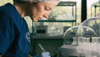 Стоимость ЭКО в Краснодарском крае выросла на 10&ndash;15%